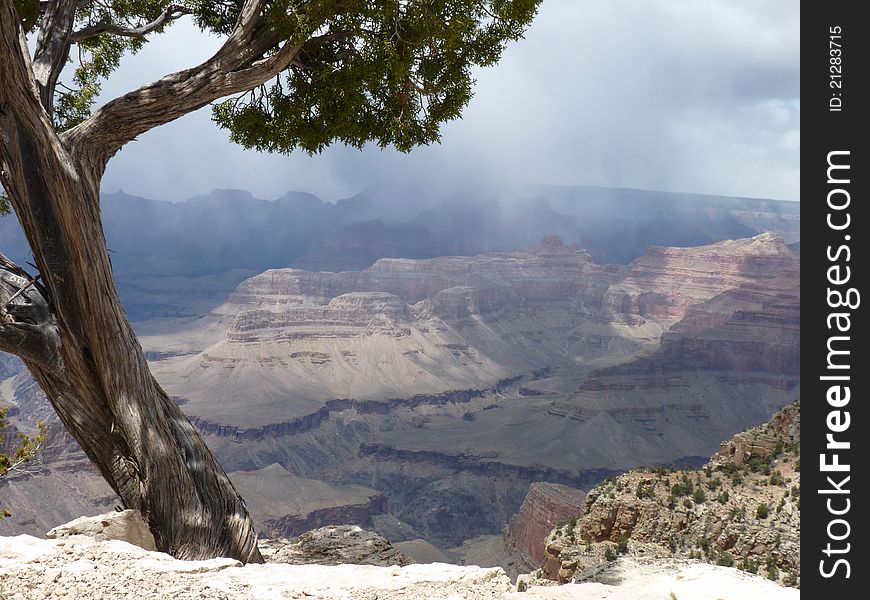 Stormy Day In The Grand Canyon