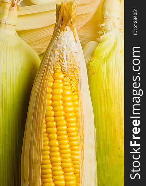 Freshly harvested corns, close up. Freshly harvested corns, close up.