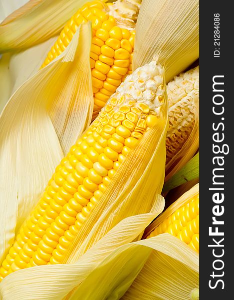 Image Of Corns