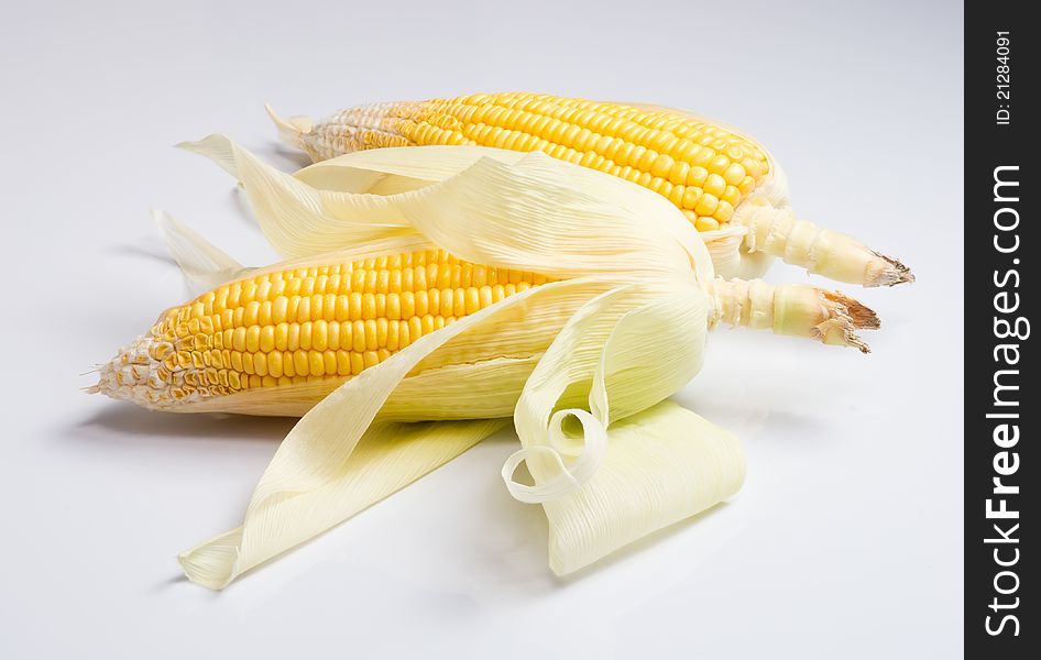 Freshly harvested corns, on white background. Freshly harvested corns, on white background.