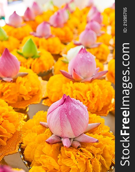 Row Of Lotus And Yellow Flower Garlands On Tray