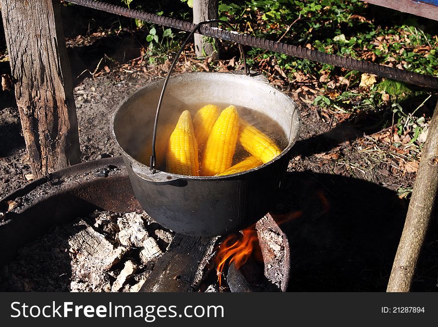 Boiling corn in the black metal cauldron. Boiling corn in the black metal cauldron