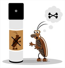Brown Cockroach Royalty Free Stock Image Brown Cockroach Royalty Free Stock Image