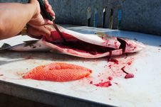 Cleaning Salmon Royalty Free Stock Photos Cleaning Salmon Royalty Free Stock Photos