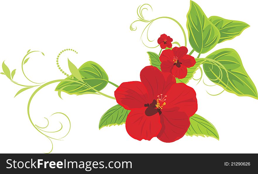 Red flowers with sprigs. Illustration