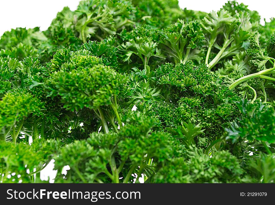 Juicy green parsley, isolated on a white background