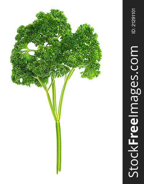 Green, Fresh Parsley, Juicy Isolated