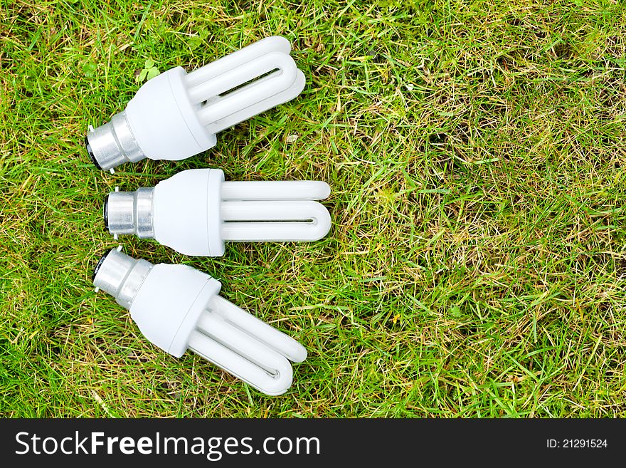 Fan of Energy Saving Bulbs in Grass