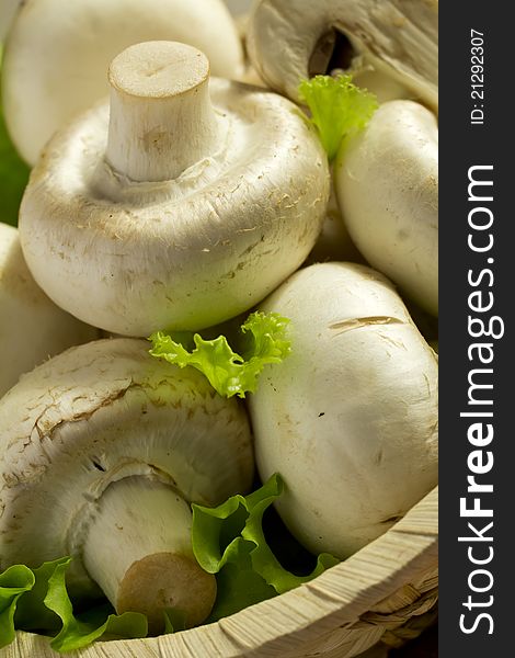 Fresh white champignons in a basket. Fresh white champignons in a basket