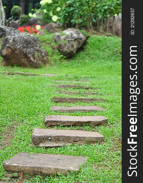 Garden stone path with grass growing up between the stones