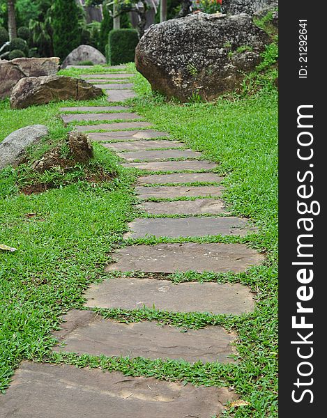 Garden stone path with grass growing up between the stones