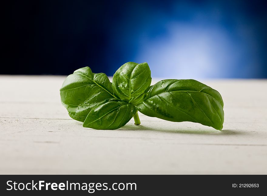 Photo of delicious fresh basil leaves hightlighte by a spot. Photo of delicious fresh basil leaves hightlighte by a spot