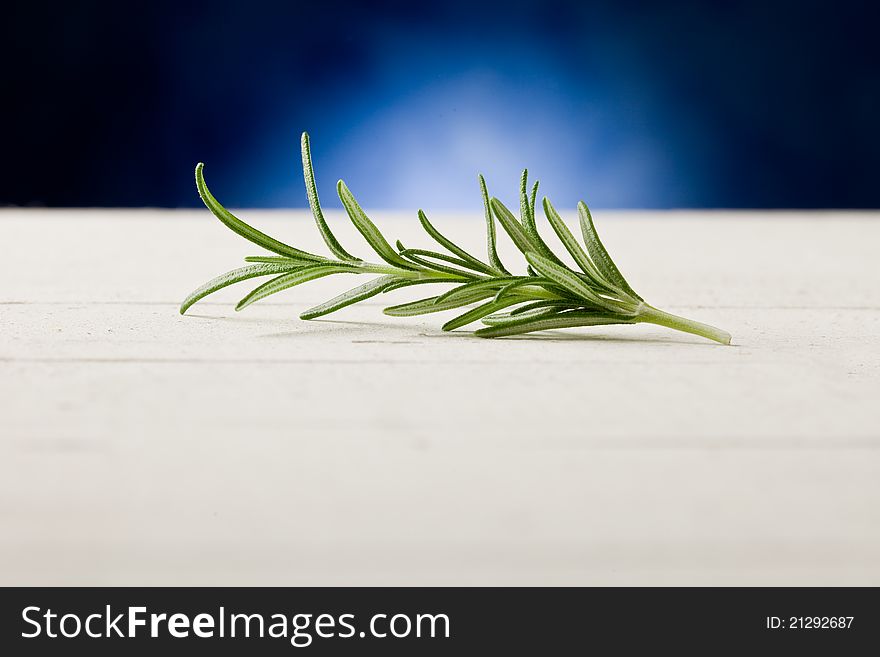 Photo of delicious fresh rosemary hightlighted by spot light. Photo of delicious fresh rosemary hightlighted by spot light