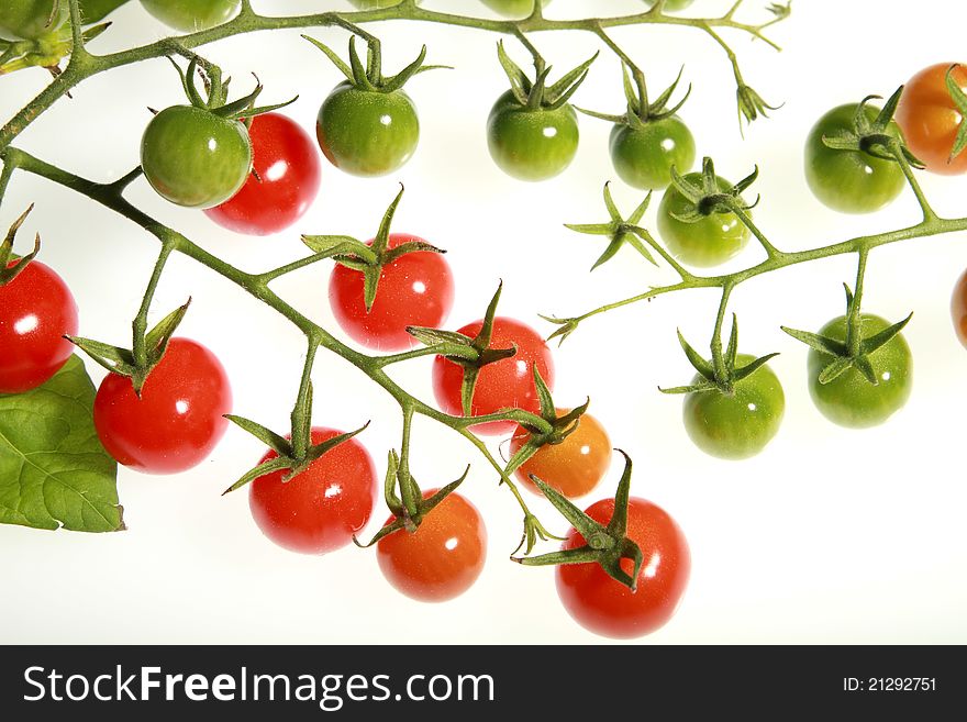 Background of red and green vine cherry tomatoes