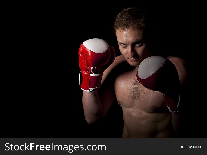 Young Boxer over black background