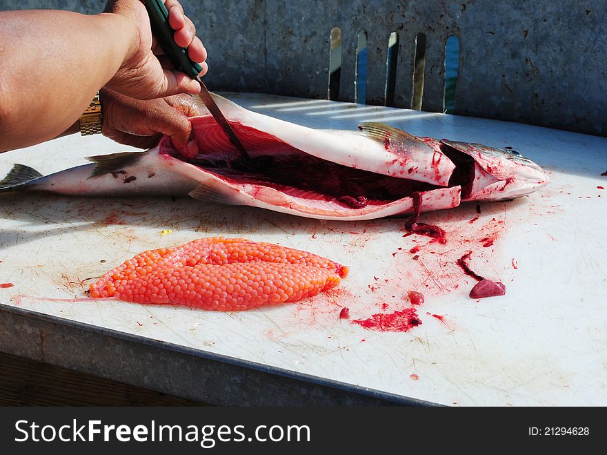 Cleaning salmon