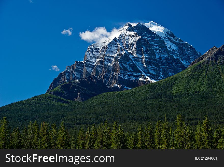 A snow covered mountain top pierces the blue sky in Banff National Park. There are a few clouds in the sky and a vibrant green tree landscape in the foreground.