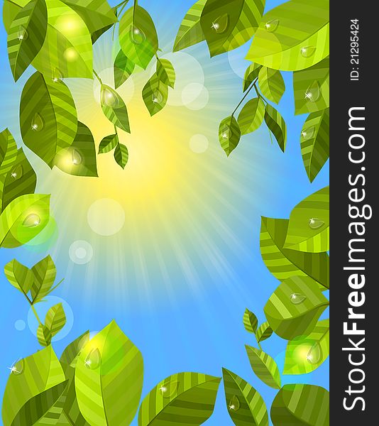 Frame with fresh green leaves and sun. Frame with fresh green leaves and sun