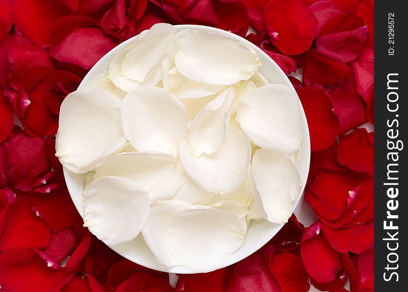 White rose petals in a bowl on the background of red petals. White rose petals in a bowl on the background of red petals