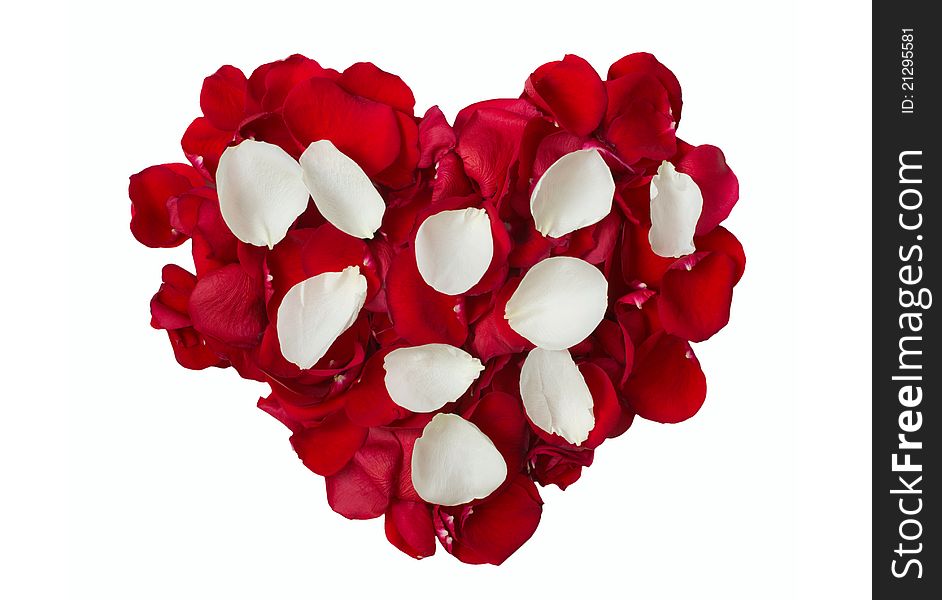 Red and white rose petals in heart shape. Red and white rose petals in heart shape