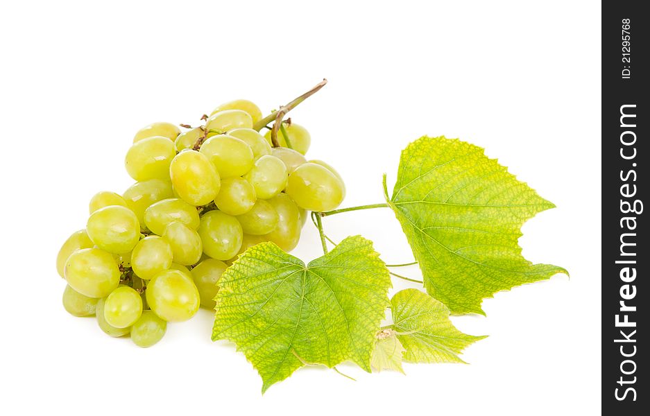 Bunch of grapes on a white background