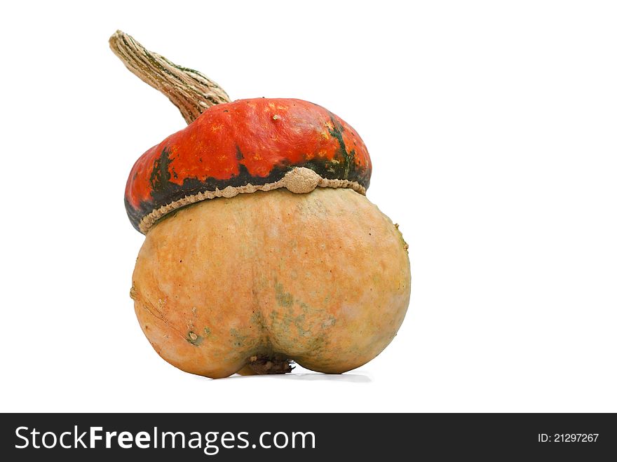A small pumpkin with hat on a white background