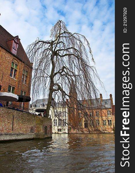 Classic view of channels of Bruges. Belgium. Medieval fairytale city. Summer urban landscape. Tree branches hanging down into the water channel.