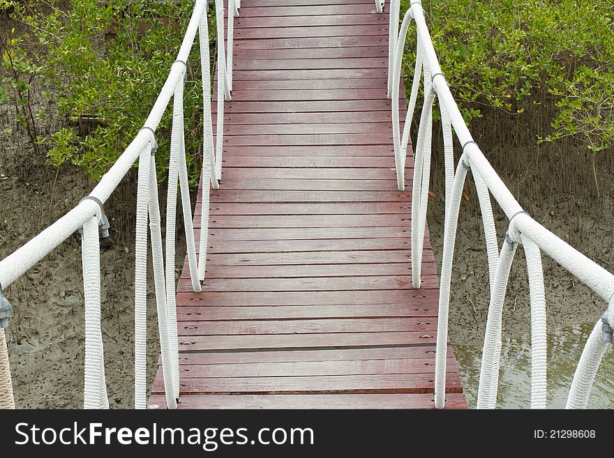 Suspension bridge in the mangroves. Suspension bridge in the mangroves.