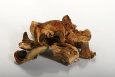 Dried Mushrooms Stock Photos