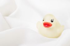 Rubber Ducky Stock Images
