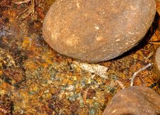 Crystal Clear Running Water Royalty Free Stock Photography