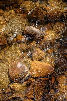 Crystal Clear Running Water Royalty Free Stock Photos