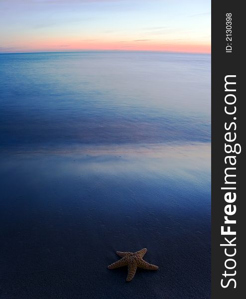 Seashell on the beach