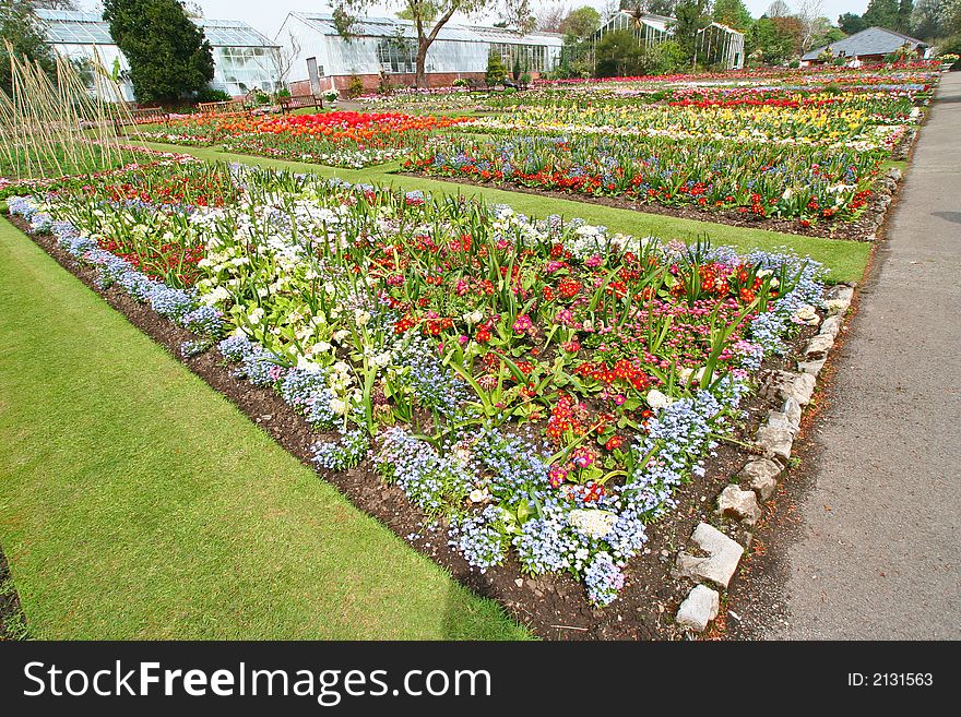 Botanical garden - wide angle view. Botanical garden - wide angle view