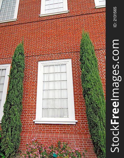 Window in brick building flanked by evergreens. Window in brick building flanked by evergreens