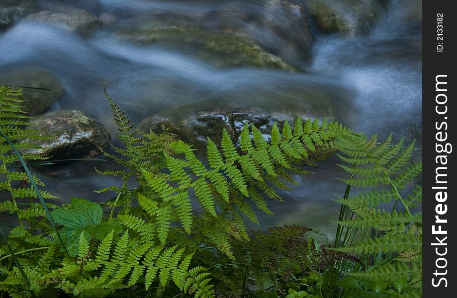 A stream or creek, is a body of water with a detectable current, confined within a bed and banks. A stream or creek, is a body of water with a detectable current, confined within a bed and banks.