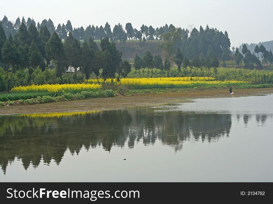 Landscape of blooming field and fishermen in spring. Landscape of blooming field and fishermen in spring