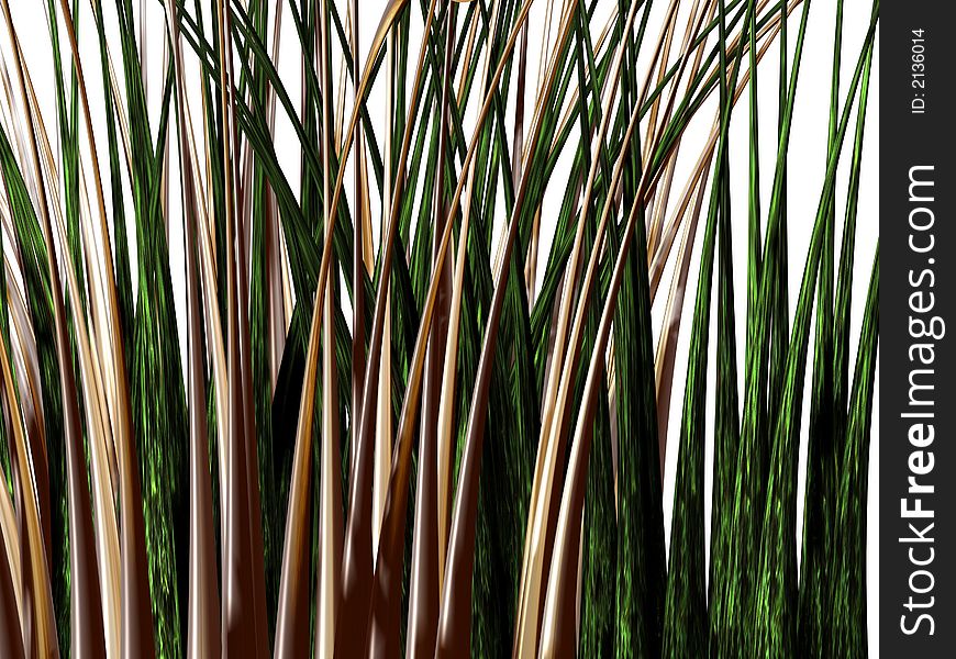 Perspective of the growing grass. Illustration made on computer. Perspective of the growing grass. Illustration made on computer.