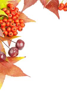 Fall Leaves And Berries Decoration Frame Royalty Free Stock Images Fall Leaves And Berries Decoration Frame Royalty Free Stock Images