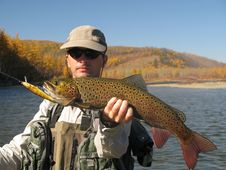 Fishing Stock Image