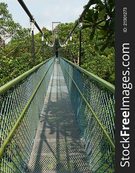 A suspension bridge at the tropical forest canopy. A suspension bridge at the tropical forest canopy