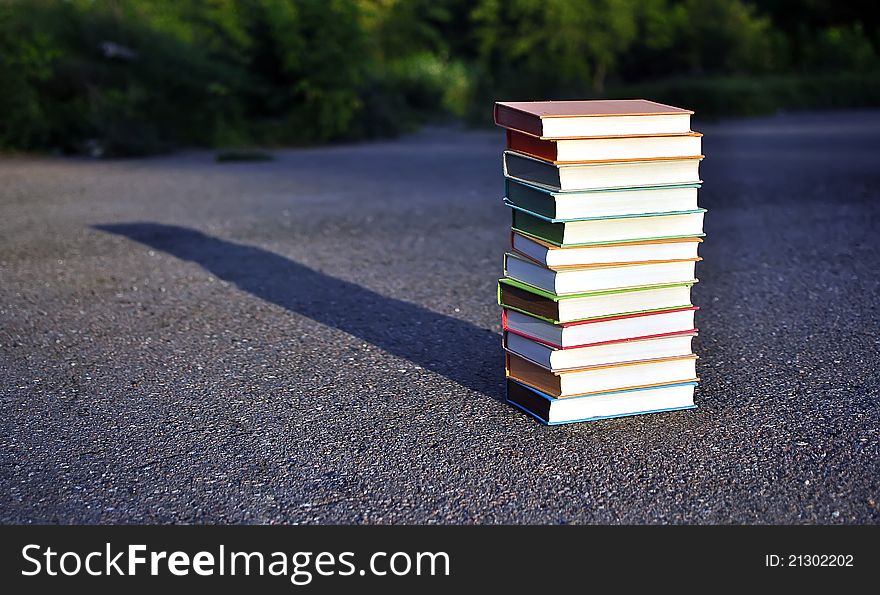 12 different books lying on the pavement. place for text