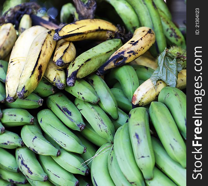 Green and yellow bananas in dominican republic