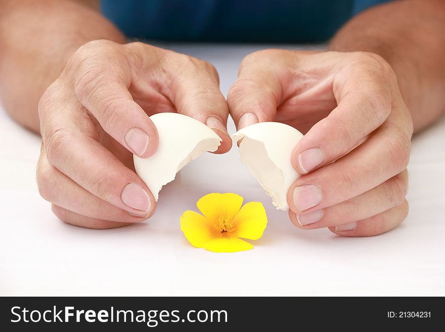 Yellow Flower In An Eggshell