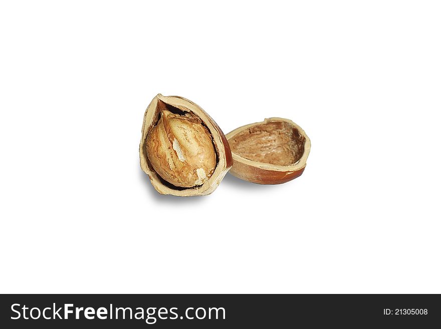 Hazel nut isolated on white background