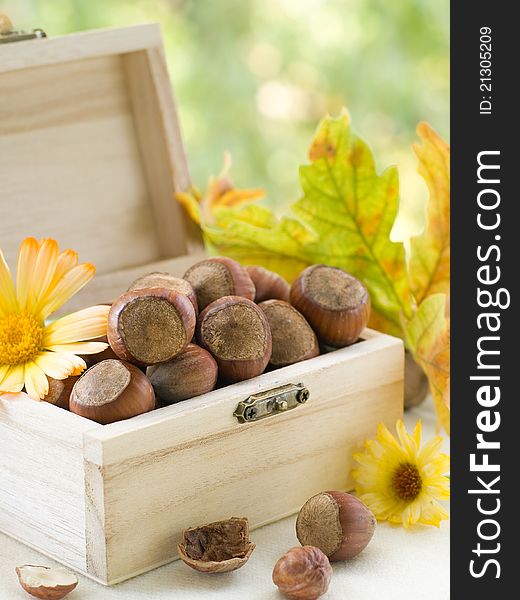 Natural hazelnuts ready to eat in box. Selective focus