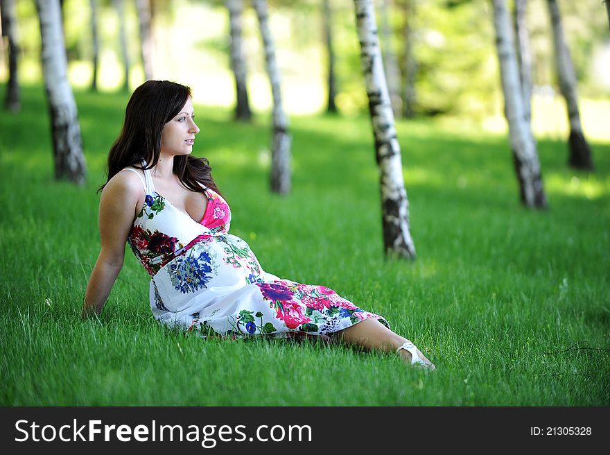 Beautiful woman sitting on grass in birch grove . summer's day. Beautiful woman sitting on grass in birch grove . summer's day.