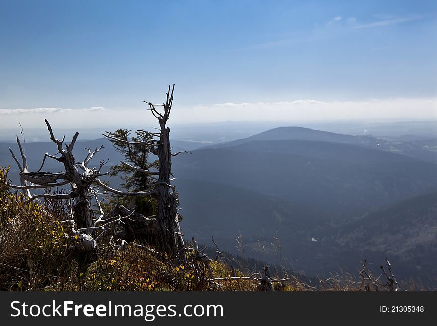 Summer Landscape In The Czech Mountain