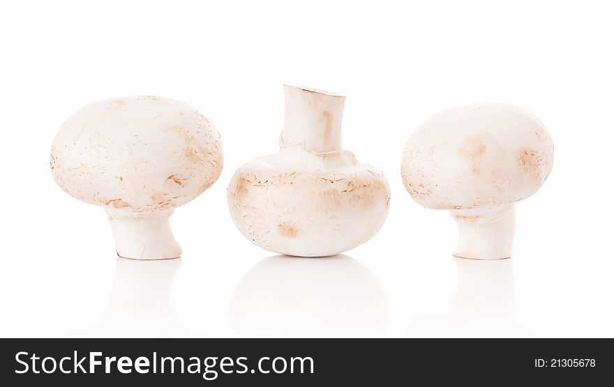 Fresh mushrooms champignons isolated on white background