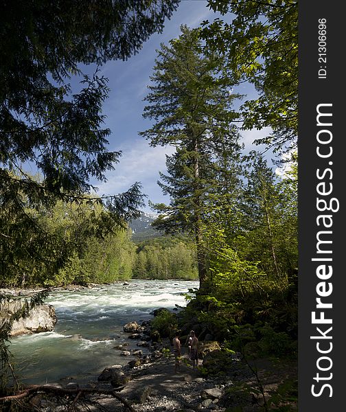 Beach and river with trees. Beach and river with trees